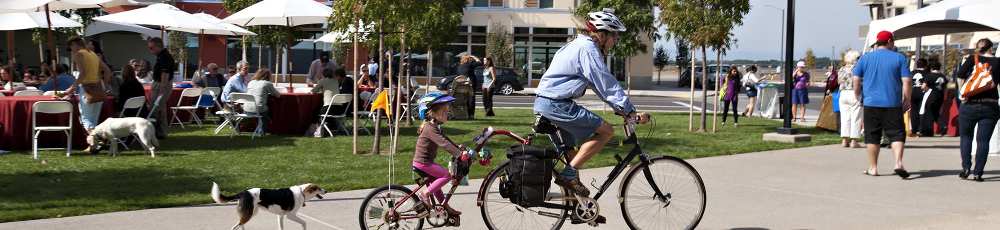 UC Davis Scene